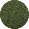 Glomesh Green Scrubbing Regular Speed Floorpad