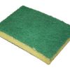 SS640GSK Glomesh Scrubbing Sponges Regular Duty Green